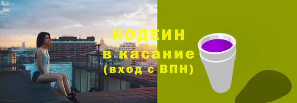 индика Балабаново