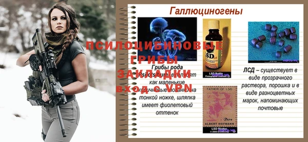 прущие крисы Беломорск