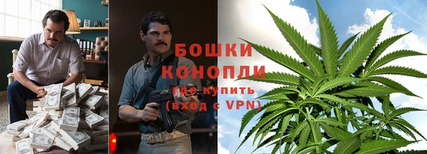 индика Балабаново