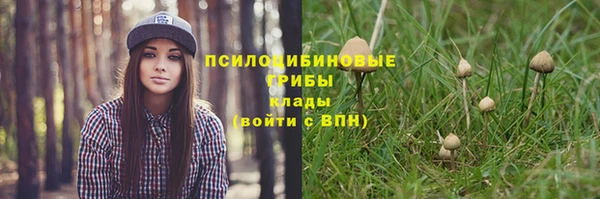 твердый Балахна
